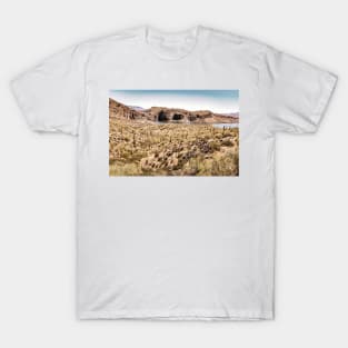 Apache Trail Scenic Drive View T-Shirt